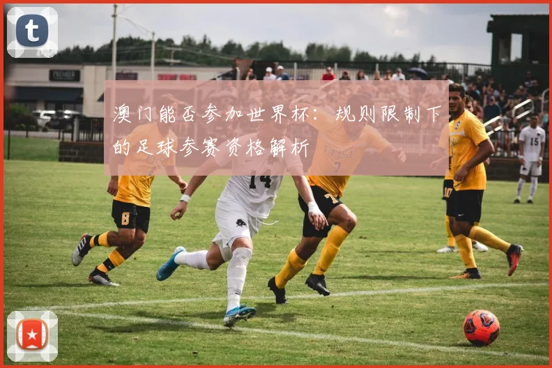 澳门能否参加世界杯：规则限制下的足球参赛资格解析