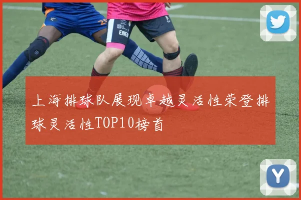 上海排球队展现卓越灵活性荣登排球灵活性TOP10榜首